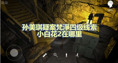 孙美琪疑案梵淨小百花在哪里 四级线索蓝色花蕊位置图文攻略