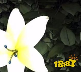 孙美琪疑案梵淨白兰凤牌位怎么看 四级线索白兰凤获取方法