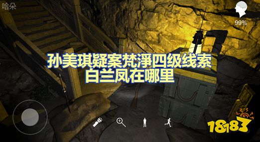 孙美琪疑案梵淨白兰凤牌位怎么看 四级线索白兰凤获取方法