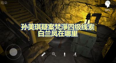 孙美琪疑案梵淨白兰凤牌位怎么看 四级线索白兰凤获取方法