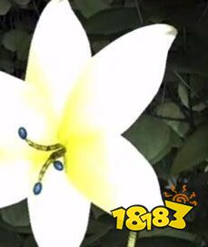 孙美琪疑案梵淨吴鹭牌位在哪 四级线索吴鹭牌位解锁指南