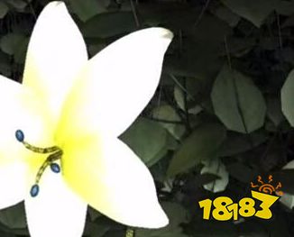 孙美琪疑案梵淨吴大福牌位在哪 四级线索吴大福牌位位置图文攻略