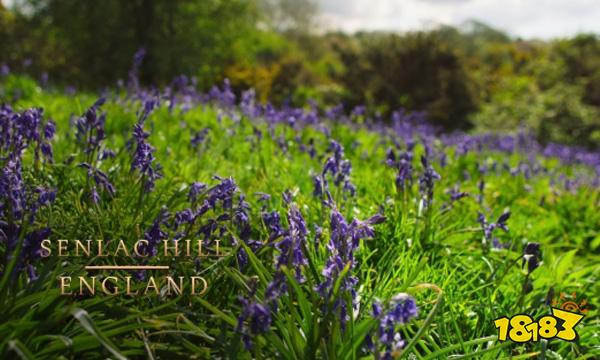 帝国时代4法国保卫巴黎战役怎么打 保卫巴黎战役打法