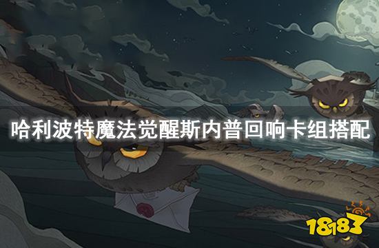 哈利波特魔法觉醒斯内普回响卡组搭配 斯内普上分卡组推荐