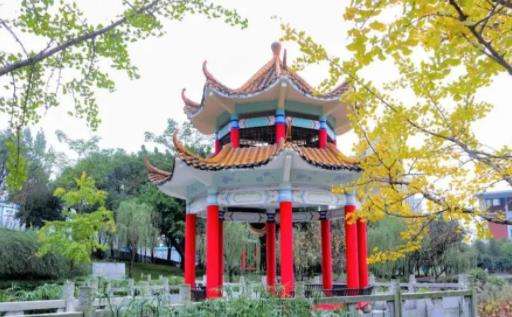 枣庄职业学院荣获电子商务数据分析1+X考核标杆学校称号