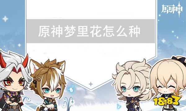 原神梦里花 梦里花怎么种