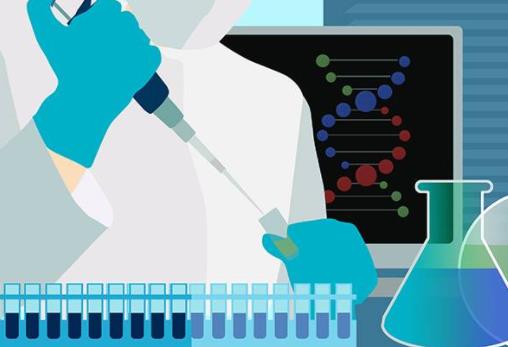 医学类国家重点一级学科有哪些 医学类国家重点二级学科有哪些