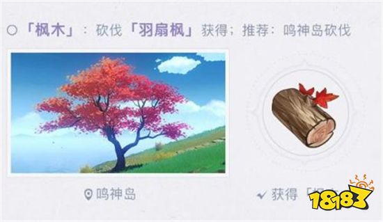 原神枫木在哪