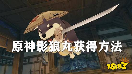 原神影狼丸怎么获得 影狼丸获取方法一览