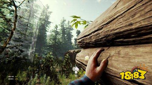 森林门禁卡洞怎么走