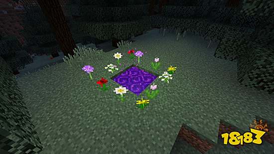 我的世界清除指令是什么 清除指令代码汇总