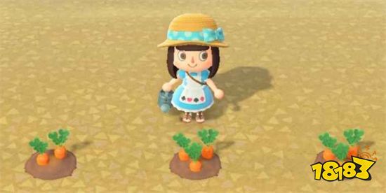 动物森友会小麦怎么获得