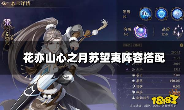 花亦山心之月苏望夷阵容搭配 苏望夷四艺装备推荐