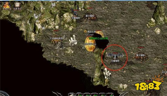 18183传奇故事第三期:带你了解生物系与不死系怪物