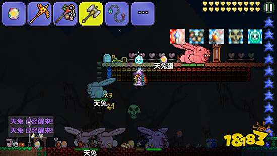 泰拉瑞亚天兔怎么召唤 天兔召唤及天兔蛋获取方法