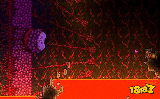 泰拉瑞亚血肉墙怎么召唤 血肉墙召唤方法及方向介绍