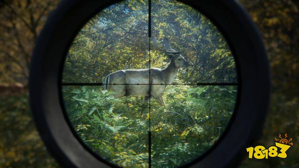 猎人荒野的召唤Steam三折特惠 体验真实的打猎生活