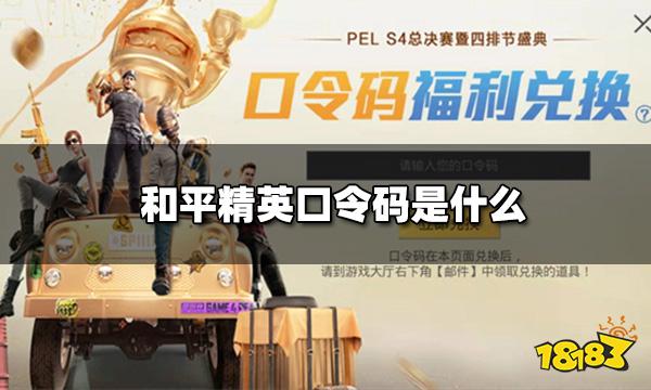 和平精英口令码是什么 最新可用口令码大全