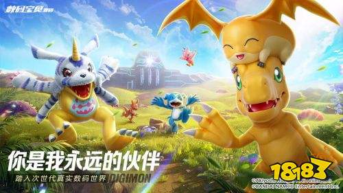 数码宝贝源码官网