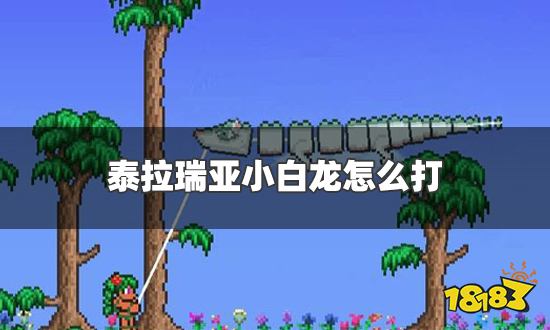 泰拉瑞亚小白龙怎么打 小白龙打法技巧介绍