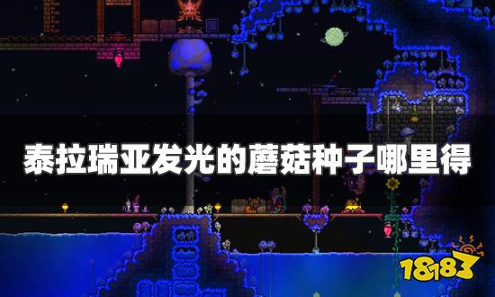 泰拉瑞亚发光的蘑菇种子哪里得 发光蘑菇种子获得方法