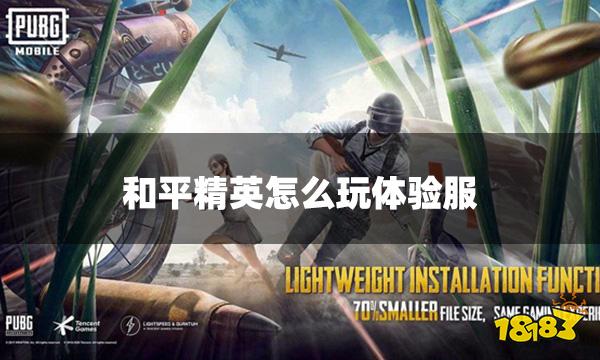 和平精英怎么玩体验服 体验服资格获取方法