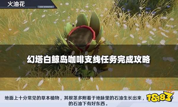 幻塔白鲸岛咖啡支线任务完成攻略 白鲸岛咖啡任务流程一览
