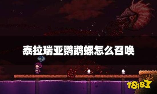 泰拉瑞亚鹦鹉螺怎么召唤 鹦鹉螺召唤条件及掉落物一览