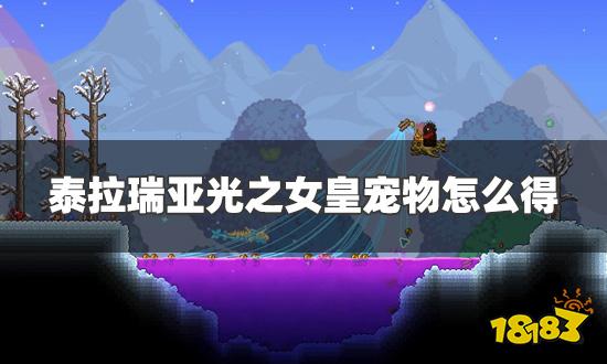 泰拉瑞亚光之女皇宠物怎么得 光之女皇宠物获得方法