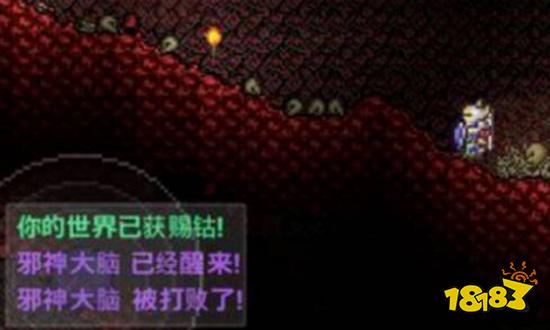 泰拉瑞亚打完肉山做什么 打完肉山后攻略