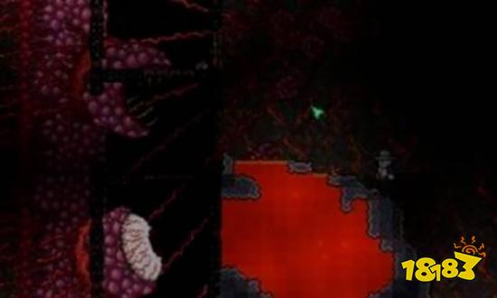 泰拉瑞亚打完肉山做什么 打完肉山后攻略