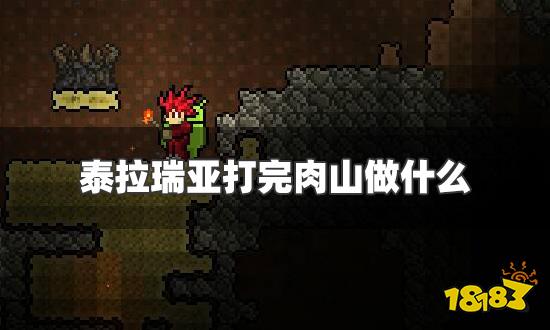 泰拉瑞亚打完肉山做什么 打完肉山后攻略