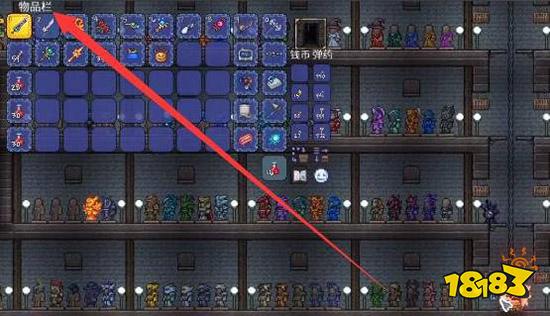 泰拉瑞亚物品存档怎么用 物品存档使用教程一览