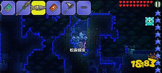 泰拉瑞亚松露虫怎么抓 松露虫抓取技巧分享