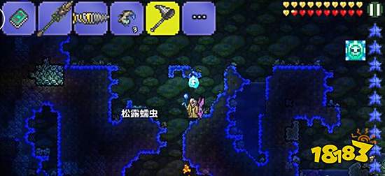 泰拉瑞亚松露虫怎么抓 松露虫抓取技巧分享