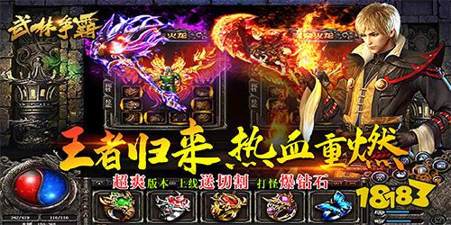 武林争霸冰雪bt版