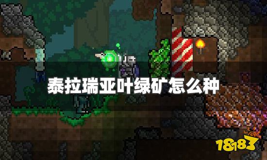泰拉瑞亚叶绿矿怎么种 叶绿矿种植技巧