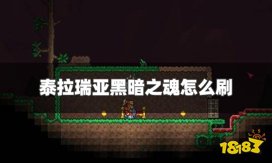 泰拉瑞亚黑暗之魂怎么刷 黑暗之魂获得方法介绍