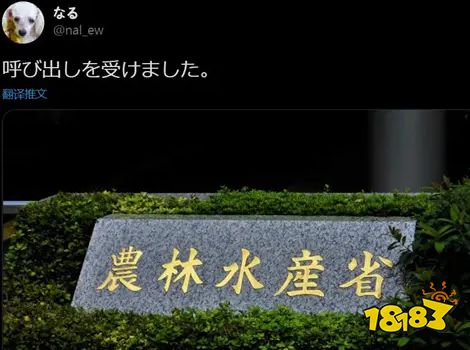 大米就是力量 这款李子柒模拟器教你在游戏里种水稻