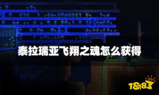 泰拉瑞亚飞翔之魂怎么获得 飞翔之魂获得方法介绍