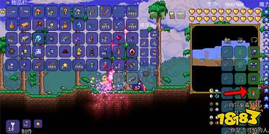 泰拉瑞亚怎么杀死NPC 杀死NPC方法分享