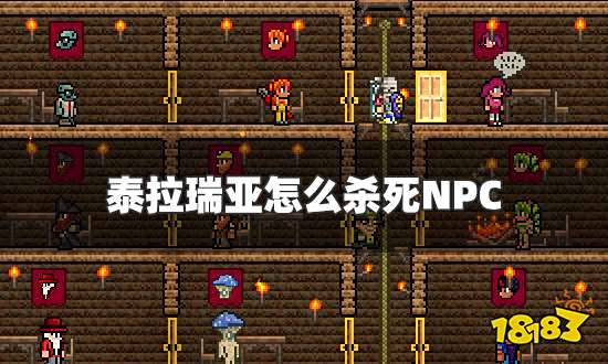 泰拉瑞亚怎么杀死NPC 杀死NPC方法分享