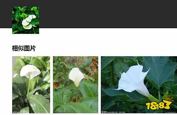 百度识图功能怎么用 怎么用百度找到一张相似的图片