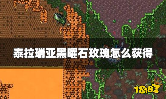 泰拉瑞亚黑曜石玫瑰怎么获得 黑曜石玫瑰获得方法介绍