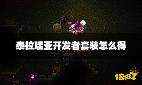 泰拉瑞亚开发者套装怎么得 开发者套装获得方法