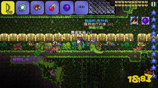 泰拉瑞亚奇异植物怎么找 奇异植物快速找到方法