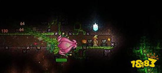 泰拉瑞亚奇异植物怎么找 奇异植物快速找到方法