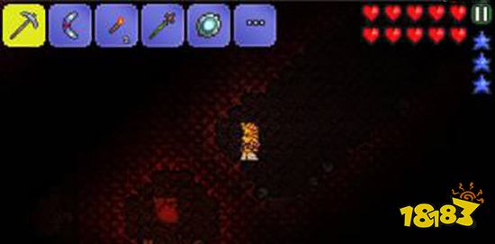 泰拉瑞亚照明宠物哪个好 照明宠物排名及获得方法