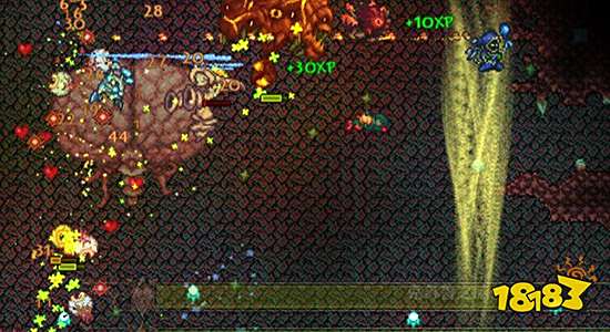 泰拉瑞亚照明宠物哪个好 照明宠物排名及获得方法