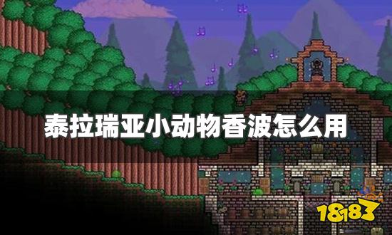 泰拉瑞亚小动物香波怎么用 小动物香波使用方法介绍
